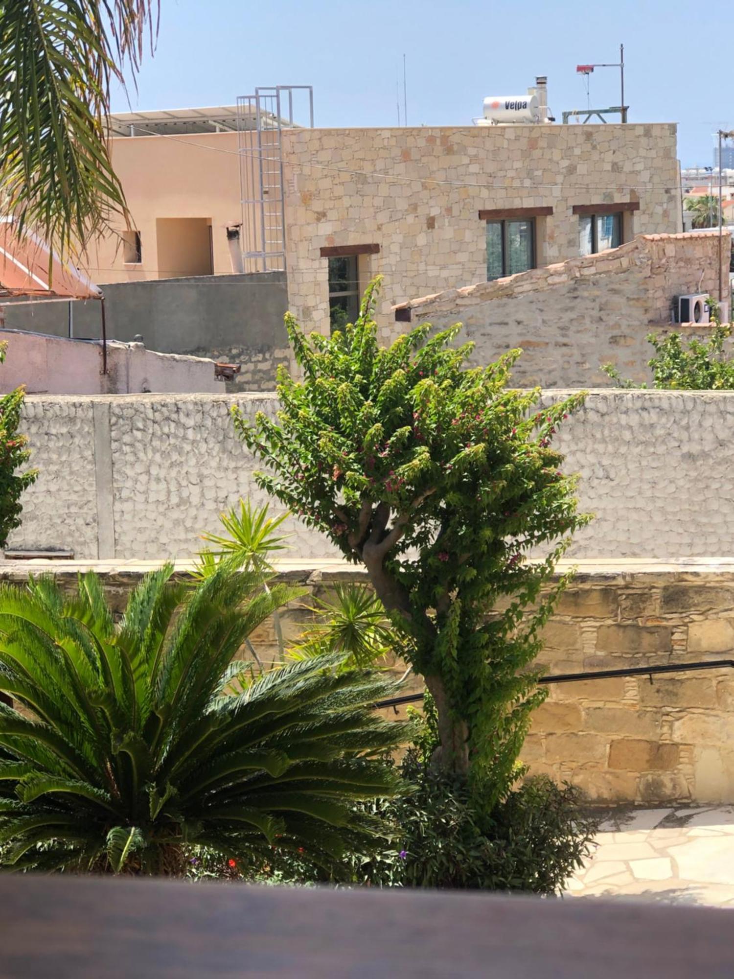 Niki's House דירה *